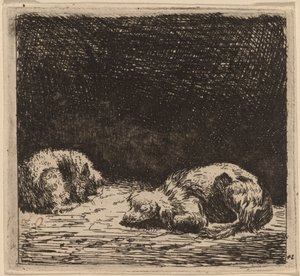 Kutya és macska alkotó: Karel Dujardin
