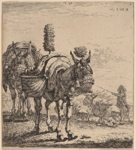 Két Öszvér alkotó: Karel Dujardin