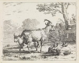 Négy kecske alkotó: Karel Dujardin