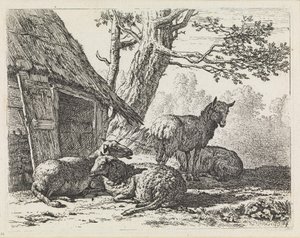 Négy juh alkotó: Karel Dujardin