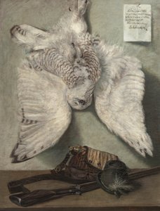 Hóbagoly alkotó: Karel Purkyne