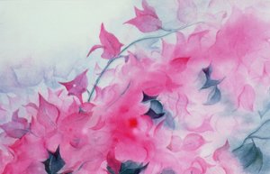 Bougainvillia alkotó: Karen Armitage