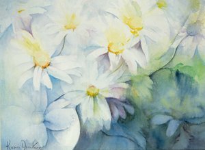 Százszorszépek, Shasta alkotó: Karen Armitage