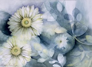 Gerbera Jamemura Jó alkotó: Karen Armitage