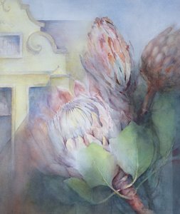 Protea Stellenboschban, 1992 (wc) alkotó: Karen Armitage