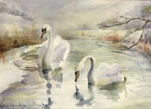 Hattyúk télen alkotó: Karen Armitage