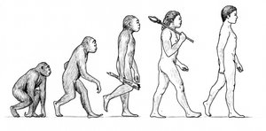 Az ember evolúciója