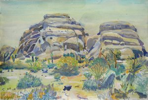 A Joshua Tree-i táj