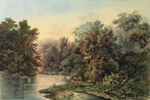 Erdei jelenet a Lehigh folyón, Pennsylvania, 1. tábla az Utazások Észak-Amerika belsejében 2. kötetéből.