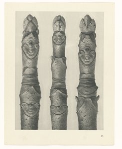 terv tanulmány A művészet archetípusai (sorozat címe) alkotó: Karl Blossfeldt