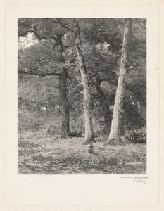 Egy erdei tisztás alkotó: Karl Bodmer