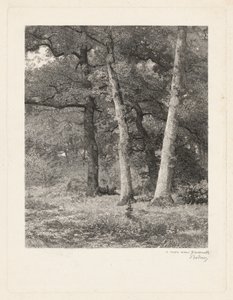 Erdei tisztás alkotó: Karl Bodmer