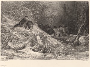 Fagytól védett. alkotó: Karl Bodmer