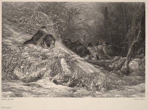 Védve a fagytól alkotó: Karl Bodmer