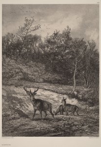 A vízparton alkotó: Karl Bodmer