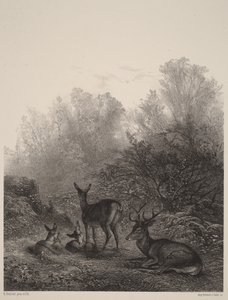 Pihenő szarvastehenek alkotó: Karl Bodmer