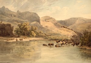 Bölény és szarvas a Missouri felső folyásánál alkotó: Karl Bodmer