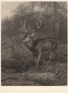 Cerf Dix-Cors alkotó: Karl Bodmer