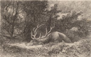 Szarvas a la Reposee. alkotó: Karl Bodmer