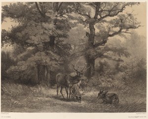 Szarvas a Gagnage-ben. alkotó: Karl Bodmer