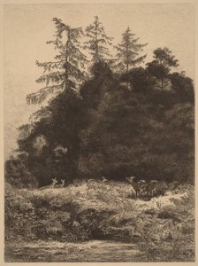 Dámszarvasok egy parkban alkotó: Karl Bodmer