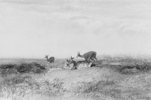 Szarvasok tájban alkotó: Karl Bodmer