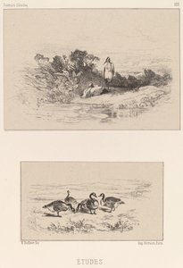 Tanulmányok. alkotó: Karl Bodmer