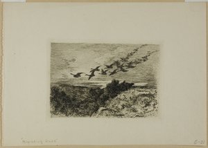 Repülő libák alkotó: Karl Bodmer