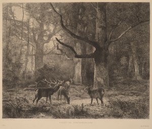 Fontainebleau-i erdő alkotó: Karl Bodmer