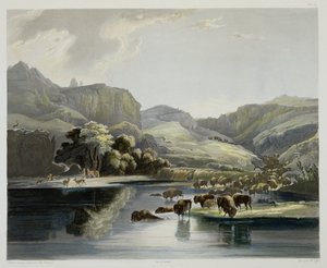 Bölény- és jávorszarvascsordák Felső-Missouriban, „Utazások Észak-Amerika belsejében” című könyv 2. kötetének 47. táblája, Carl Vogel (1816-51) metszete 1844 (akvatinta)