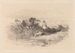 Gémek alkotó: Karl Bodmer