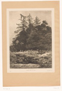 Szarvas az erdő szélén Daims dans un parc (cím az objektumon) alkotó: Karl Bodmer