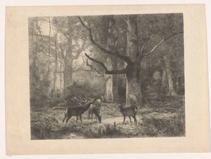 Szarvas az erdőben alkotó: Karl Bodmer
