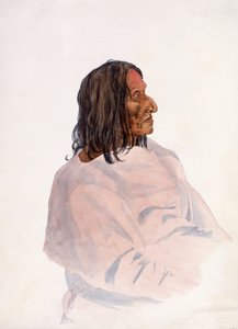Homachséh-Kakatóhs, Piegan Blackfeet Man alkotó: Karl Bodmer