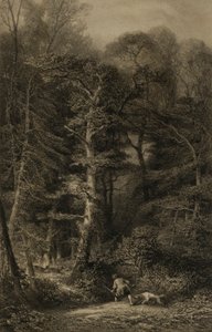 Erdei belső tér alkotó: Karl Bodmer