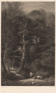 Az erdő belseje alkotó: Karl Bodmer