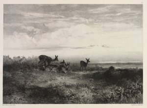 Táj szarvassal alkotó: Karl Bodmer