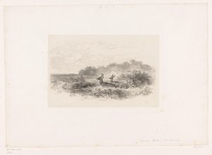 Táj két fehérfarkú szarvassal Tájképek állatokkal (sorozat címe) alkotó: Karl Bodmer