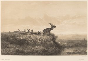 A reggel. alkotó: Karl Bodmer