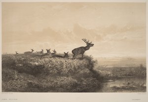 Reggel alkotó: Karl Bodmer