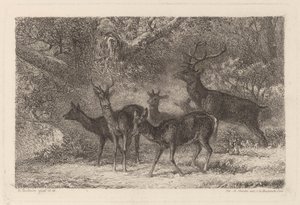 a csorda alkotó: Karl Bodmer