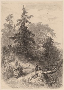 A fácánok. alkotó: Karl Bodmer