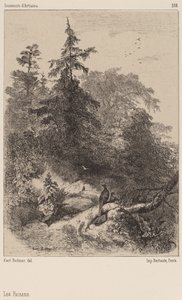 A fácánok. alkotó: Karl Bodmer