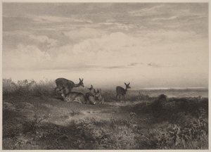 A szarvastehenek alkotó: Karl Bodmer