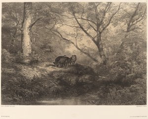 Marcassinok alkotó: Karl Bodmer