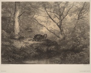 Vaddisznómalacok alkotó: Karl Bodmer