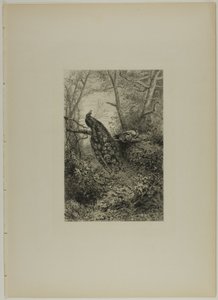 Pávák egy ágon alkotó: Karl Bodmer