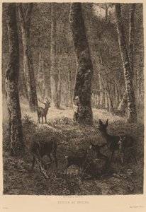 Haza. alkotó: Karl Bodmer