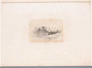 Két gém a vízparton Tájak állatokkal (sorozat címe) alkotó: Karl Bodmer