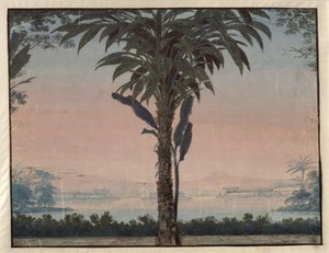 Athalia. Johann Nepomuk von Poissl operája. Terv a 4. díszlethez. A főpap kertje nagy pálmafával egy vízfelület előtt alkotó: Karl Friedrich Schinkel